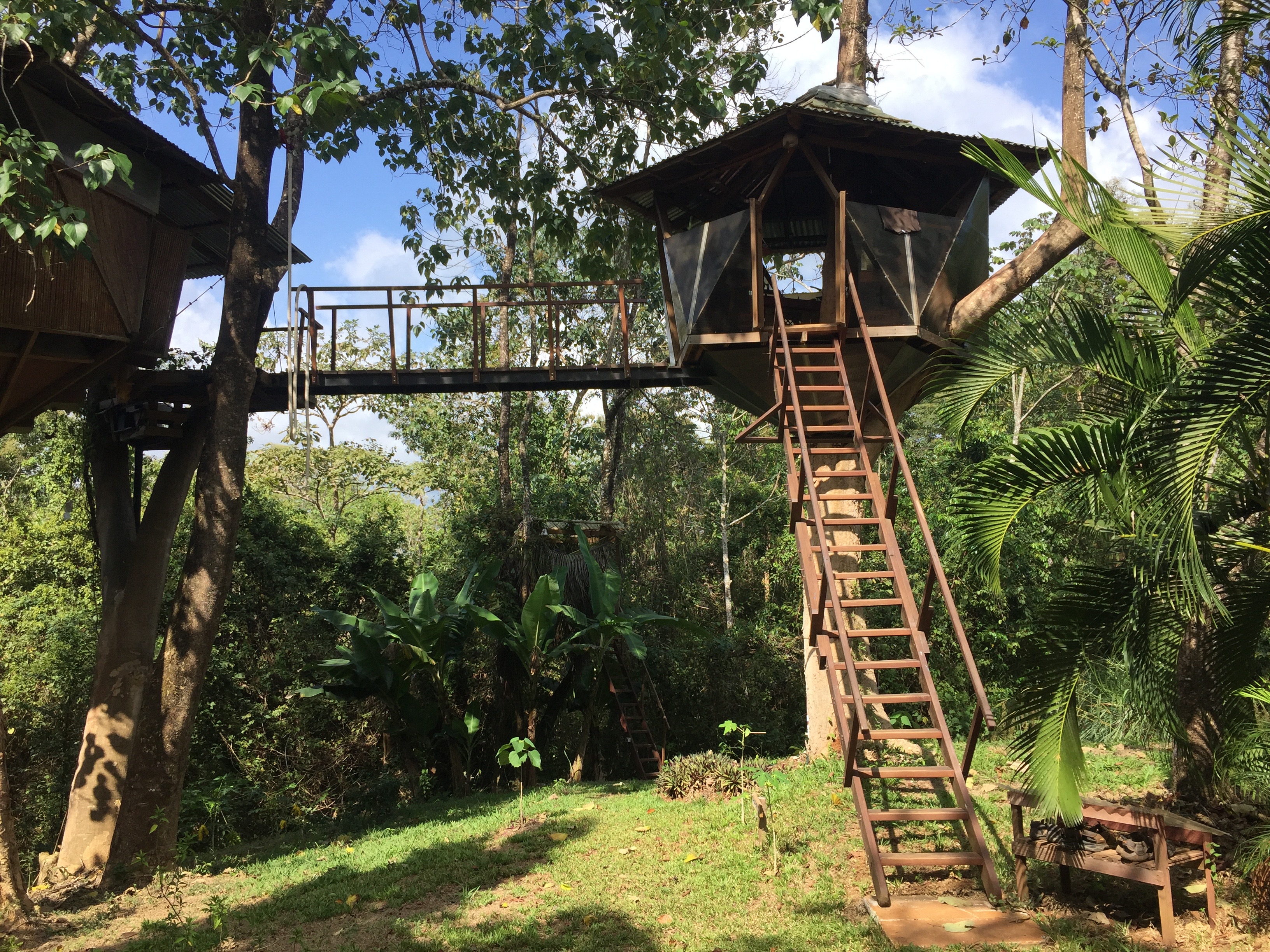 Canopy